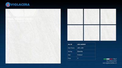 GẠCH GRANITE PHỦ MEN (60X60) VIGLACERA ASD 6608GP