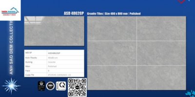 GẠCH GRANITE (40X80) VIGLACERA ASD-4862GP