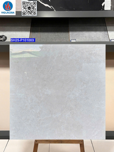 GẠCH 100X100 VIGLACERA SH25 - P101003