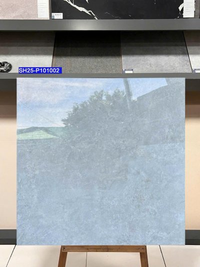 GẠCH VIGLACERA 100X100 SH25-P101002