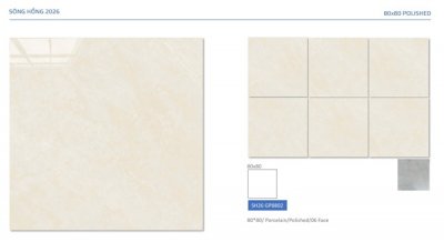 GẠCH VIGLACERA 80X80 SH26-GP8802