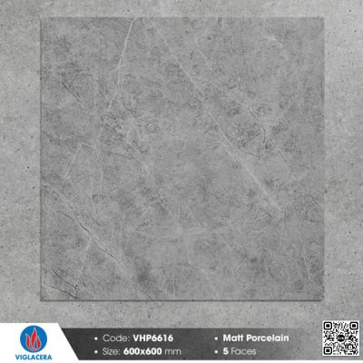 Gạch Viglacera đá mờ 60x60 VHP6616