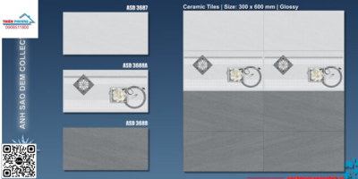GẠCH (30X60) CERAMIC VIGLACERA ASD 3687