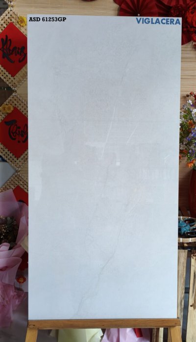 GẠCH GRANITE (60X120) VIGLACERA ASD 61253GP