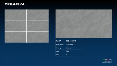 GẠCH GRANITE (30X60) VIGLACERA ASD 3626GM