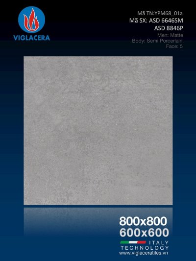 GẠCH PORCELAIN (80×80) VIGLACERA ASD 8846P