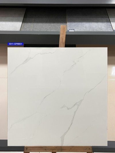 Gạch 80x80 Viglacera SH1-GP8801
