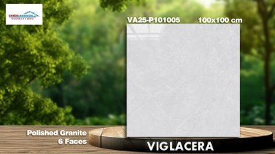 GẠCH GRANITE (100×100) VIGLACERA VA25-P101005