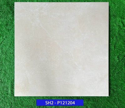 Gạch lát nền 120x120 Viglacera SH2-P121204