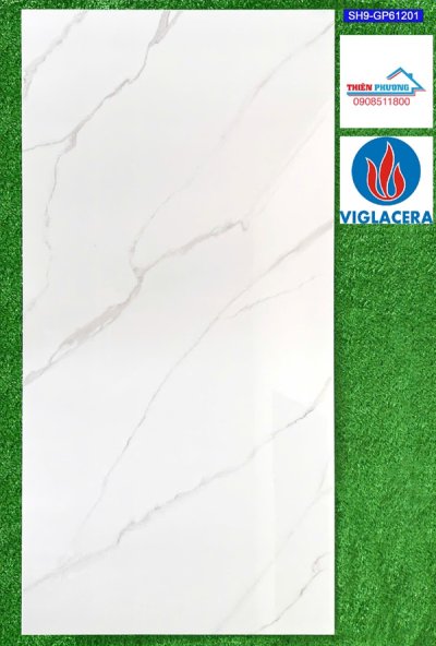 Gạch 60×120 Viglacera SH9-GP61201