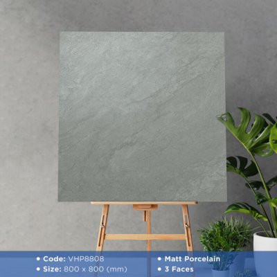 GẠCH VIGLACERA 80X80 VHP8808