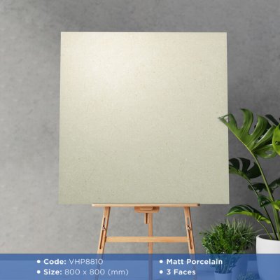 GẠCH VIGLACERA 80X80 VHP8810